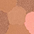 Moyen Rose 02